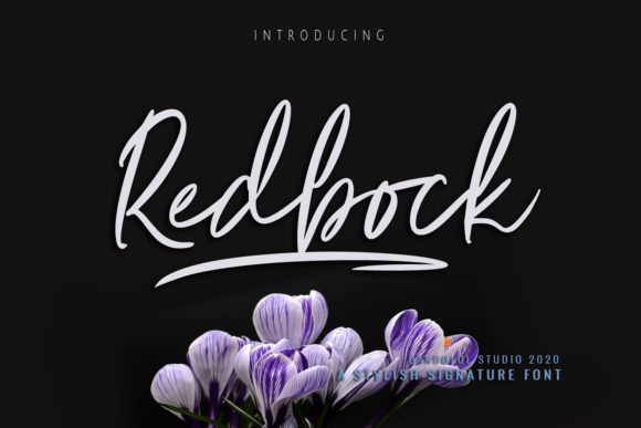 Redbock: A Flowing Handwritten Font for Web Design