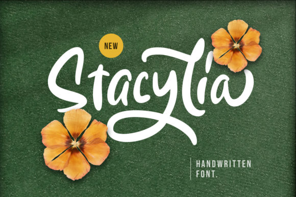 Stacylia: A Bold Handwritten Font for Crafters