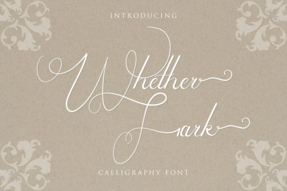 Whether Fark: A Premium Script Font for Editorial Design